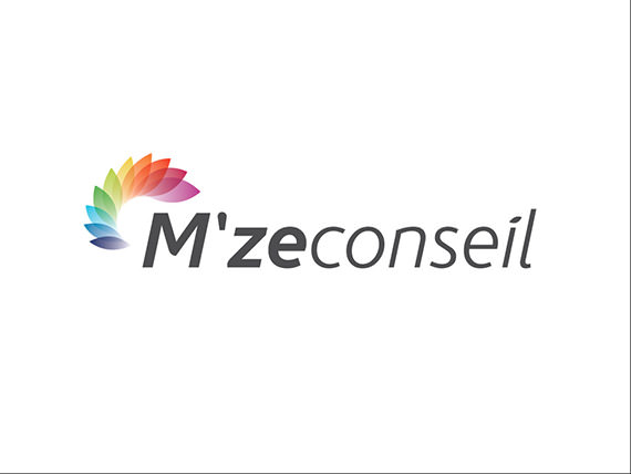 Strategic and Organisation Consulting Agency logo - Mayotte, France